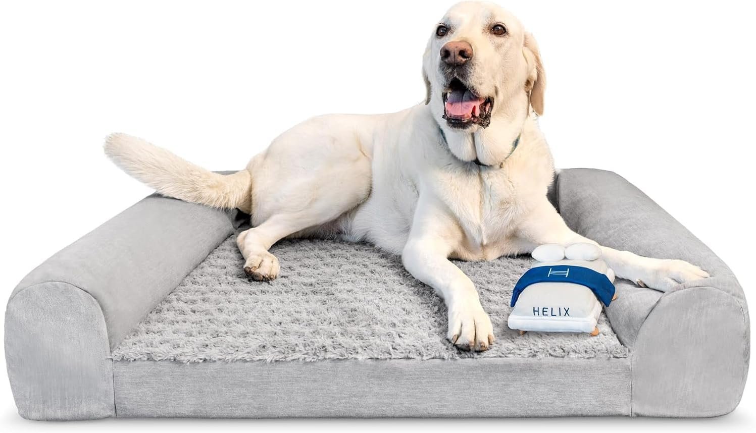 Pet Bed